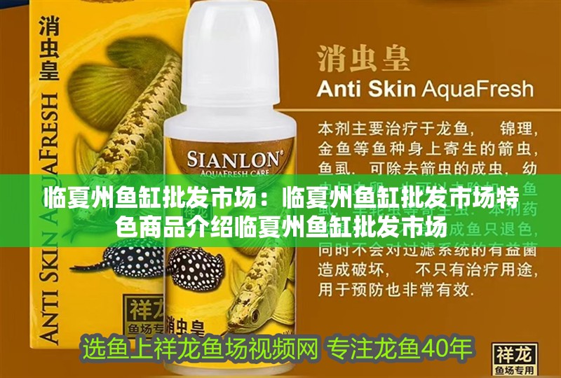 臨夏州魚缸批發市場：臨夏州魚缸批發市場特色商品介紹臨夏州魚缸批發市場