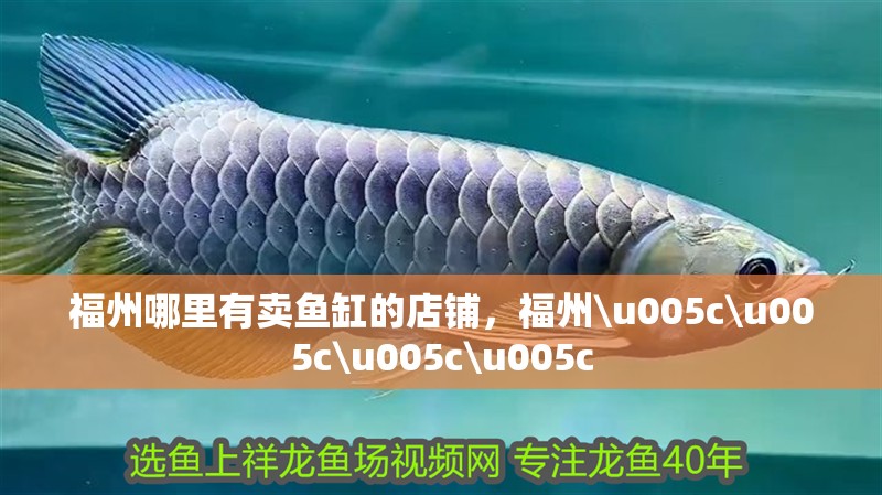 福州哪里有賣魚缸的店鋪，福州\u005c\u005c\u005c\u005c 福州哪里有賣魚缸的店鋪，福州\u005c\u005c\u005c\u005c 觀賞魚百科