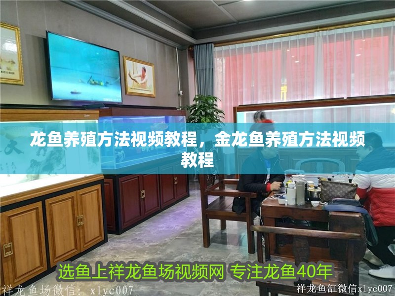 龍魚養(yǎng)殖方法視頻教程，金龍魚養(yǎng)殖方法視頻教程