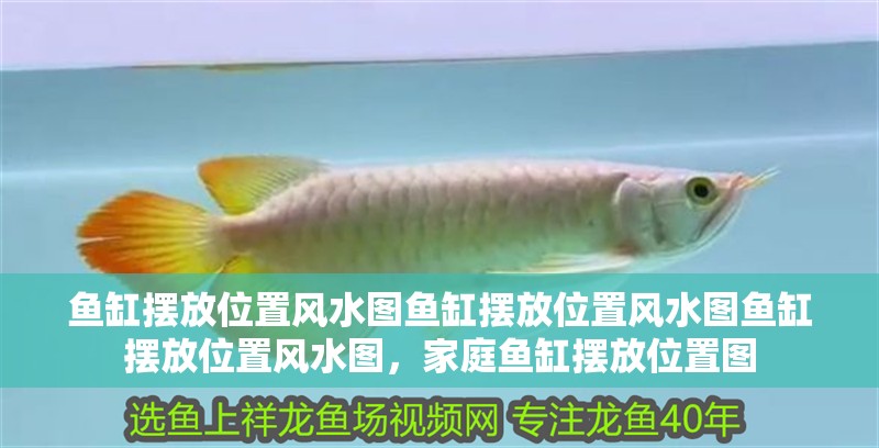 魚缸擺放位置風水圖魚缸擺放位置風水圖魚缸擺放位置風水圖，家庭魚缸擺放位置圖
