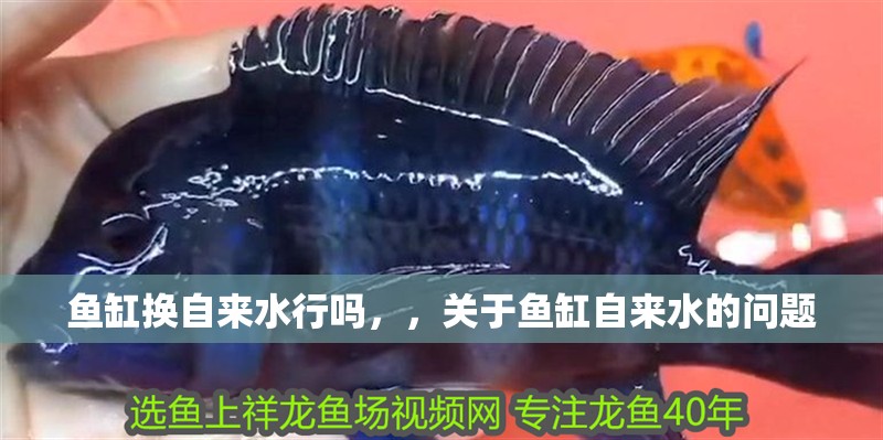 魚缸換自來水行嗎，，關于魚缸自來水的問題