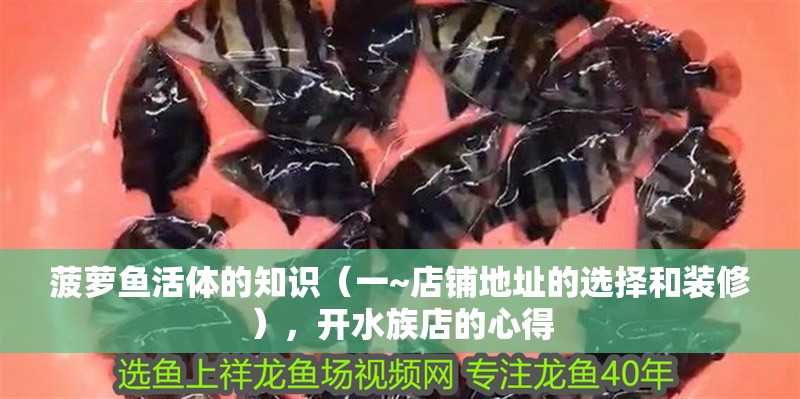 菠蘿魚活體的知識（一~店鋪地址的選擇和裝修），開水族店的心得
