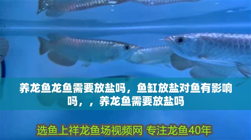 養龍魚龍魚需要放鹽嗎，魚缸放鹽對魚有影響嗎，，養龍魚需要放鹽嗎