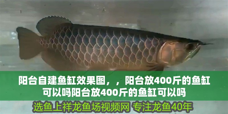 陽臺自建魚缸效果圖，，陽臺放400斤的魚缸可以嗎陽臺放400斤的魚缸可以嗎
