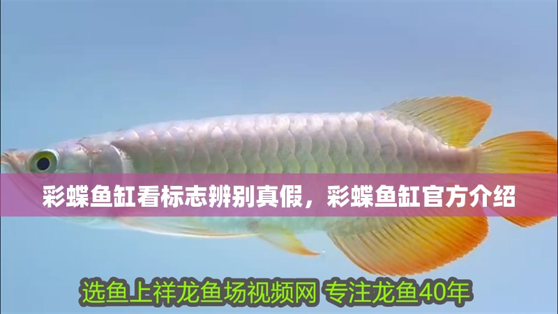 彩蝶魚(yú)缸看標(biāo)志辨別真假，彩蝶魚(yú)缸官方介紹