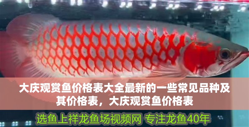 大慶觀賞魚價格表大全最新的一些常見品種及其價格表，大慶觀賞魚價格表
