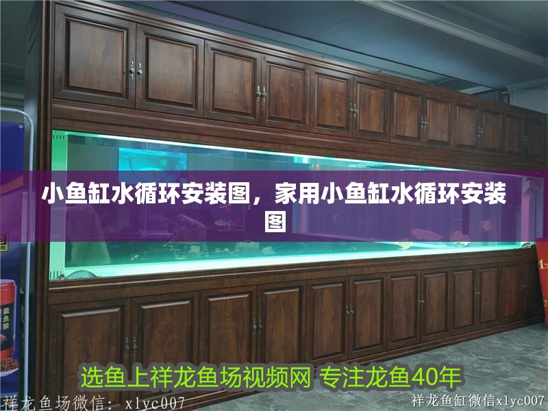 小魚缸水循環安裝圖，家用小魚缸水循環安裝圖