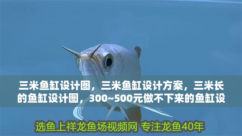 三米魚缸設(shè)計圖，三米魚缸設(shè)計方案，三米長的魚缸設(shè)計圖，300~500元做不下來的魚缸設(shè)計圖