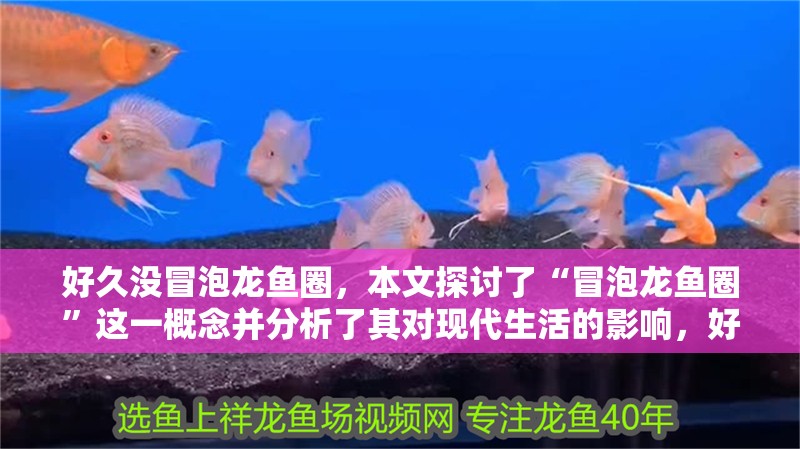 好久沒冒泡龍魚圈，本文探討了“冒泡龍魚圈”這一概念并分析了其對現代生活的影響，好久沒冒泡龍魚圈，本文探討了“冒泡龍魚圈”的歷史背景