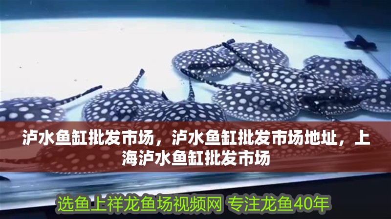 瀘水魚缸批發市場，瀘水魚缸批發市場地址，<strong><mark>上海</mark></strong>瀘水魚缸批發市場