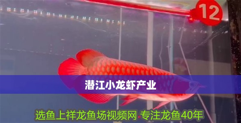 潛江小龍蝦產(chǎn)業(yè)