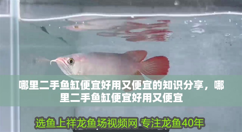 哪里二手魚缸便宜好用又便宜的知識分享，哪里二手魚缸便宜好用又便宜