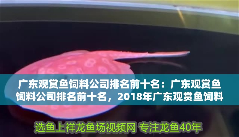 廣東觀賞魚飼料公司排名前十名：廣東觀賞魚飼料公司排名前十名，2018年廣東觀賞魚飼料公司排名前十名