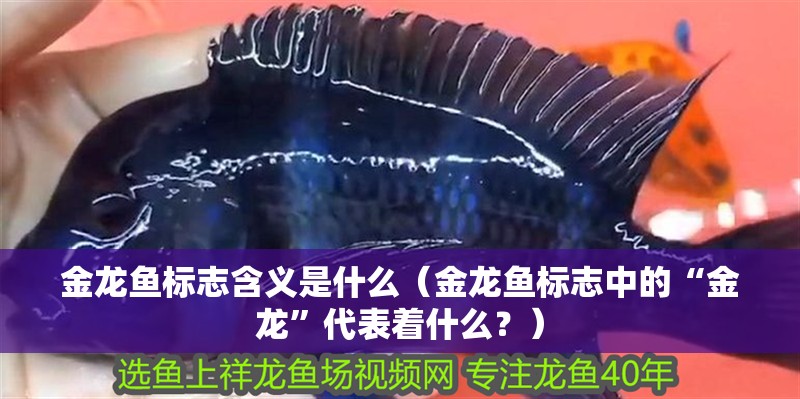 金龍魚標志含義是什么（金龍魚標志中的“金龍”代表著什么？）