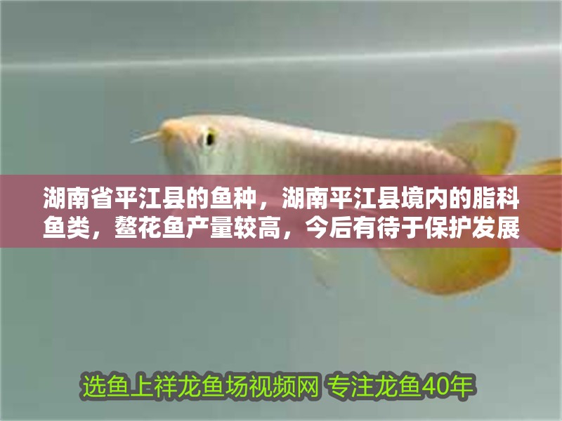 湖南省平江縣的魚種，湖南平江縣境內的脂科魚類，鰲花魚產量較高，今后有待于保護發展