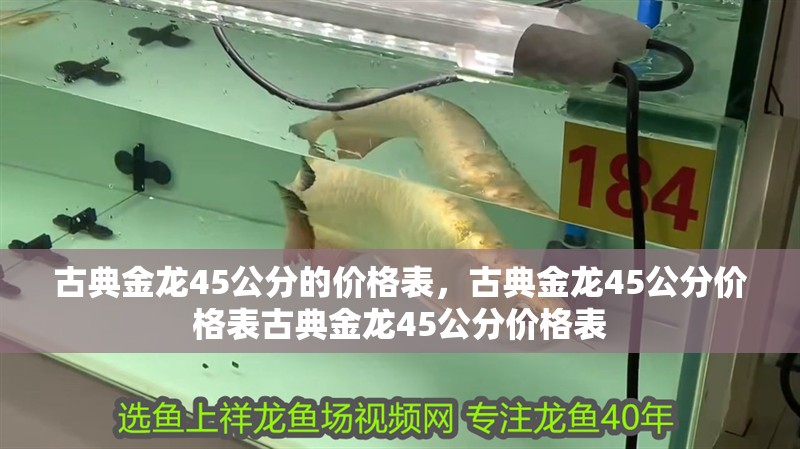 古典金龍45公分的價格表，古典金龍45公分價格表古典金龍45公分價格表