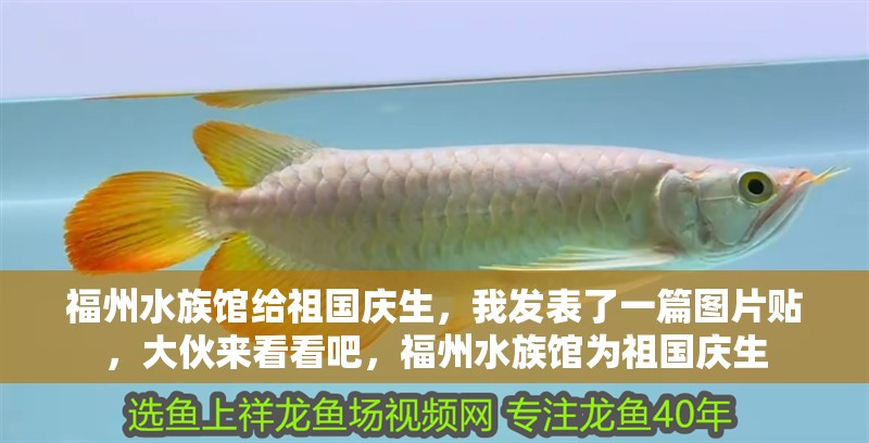 福州水族館給祖國慶生，我發表了一篇圖片貼，大伙來看看吧，福州水族館為祖國慶生