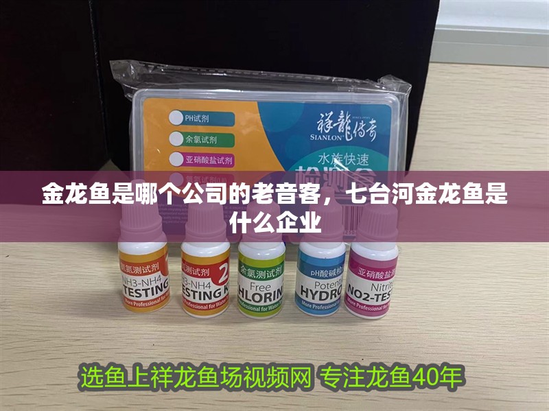 金龍魚是哪個公司的老音客，七臺河金龍魚是什么企業(yè)