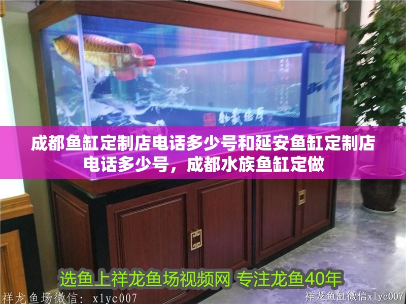 成都魚缸定制店電話多少號和延安魚缸定制店電話多少號，成都水族魚缸定做