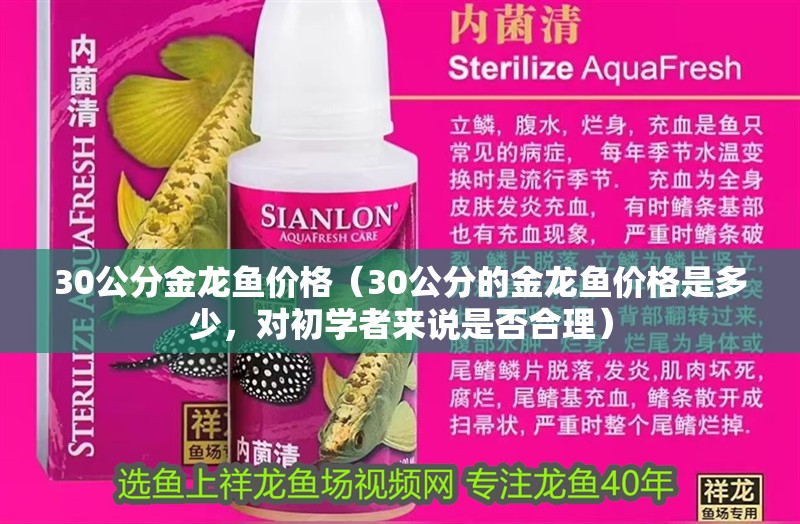 30公分金龍魚價格（30公分的金龍魚價格是多少，對初學者來說是否合理）