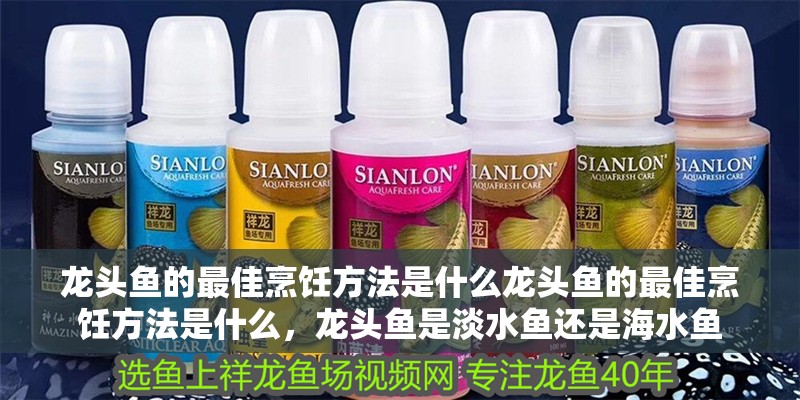 龍頭魚的最佳烹飪方法是什么龍頭魚的最佳烹飪方法是什么，龍頭魚是淡水魚還是海水魚