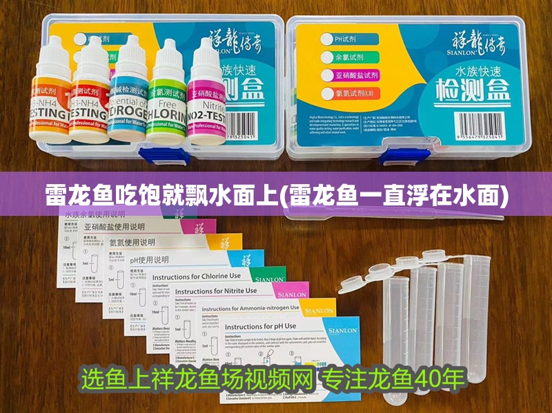 雷龍魚吃飽就飄水面上(雷龍魚一直浮在水面)