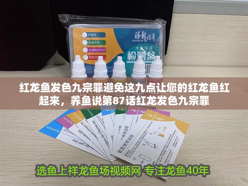 紅龍魚發色九宗罪避免這九點讓您的紅龍魚紅起來,養魚說第87話紅龍發色九宗罪 觀賞魚百科 第6張 紅龍魚發色九宗罪避免這九點讓您的紅龍魚紅起來,養魚說第87話紅龍發色九宗罪 紅龍魚發色九宗罪避免這九點讓您的紅龍魚紅起來,養魚說第87話紅龍發色九宗罪 觀賞魚百科 第6張