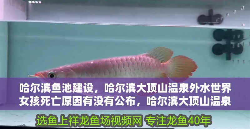 哈爾濱魚池建設，哈爾濱大頂山溫泉外水世界女孩死亡原因有沒有公布，哈爾濱大頂山溫泉外水世界女孩死亡原因有沒有公布 哈爾濱魚池建設，哈爾濱大頂山溫泉外水世界女孩死亡原因有沒有公布，哈爾濱大頂山溫泉外水世界女孩死亡原因有沒有公布 觀賞魚百科 第2張