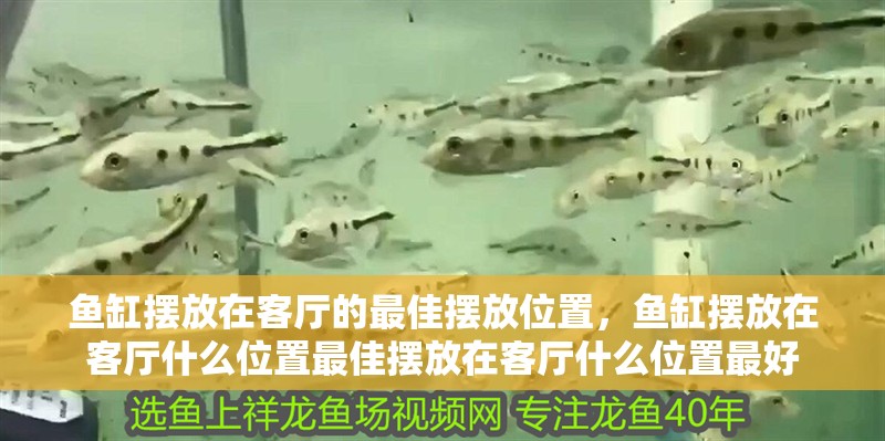 魚缸擺放在客廳的最佳擺放位置，魚缸擺放在客廳什么位置最佳擺放在客廳什么位置最好