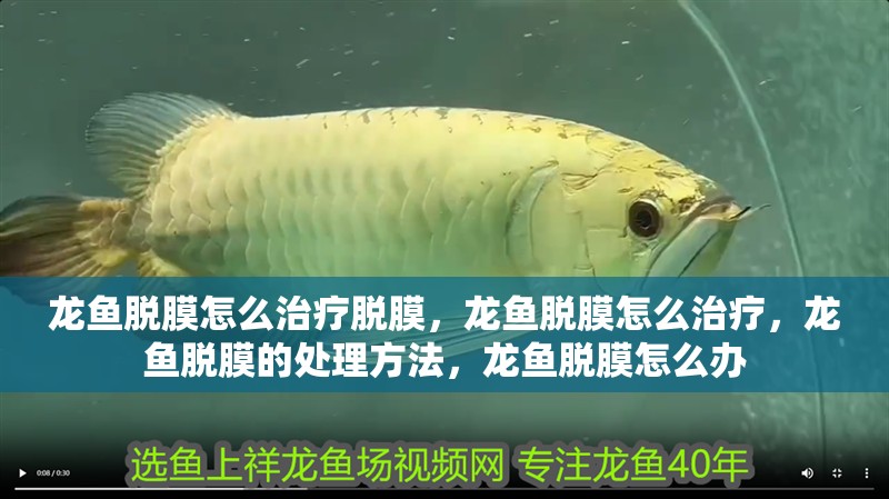 龍魚脫膜怎么治療脫膜，龍魚脫膜怎么治療，龍魚脫膜的處理方法，龍魚脫膜怎么辦