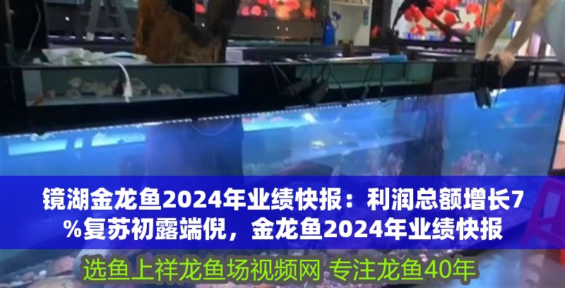 鏡湖金龍魚2024年業(yè)績快報：利潤總額增長7%復蘇初露端倪，金龍魚2024年業(yè)績快報
