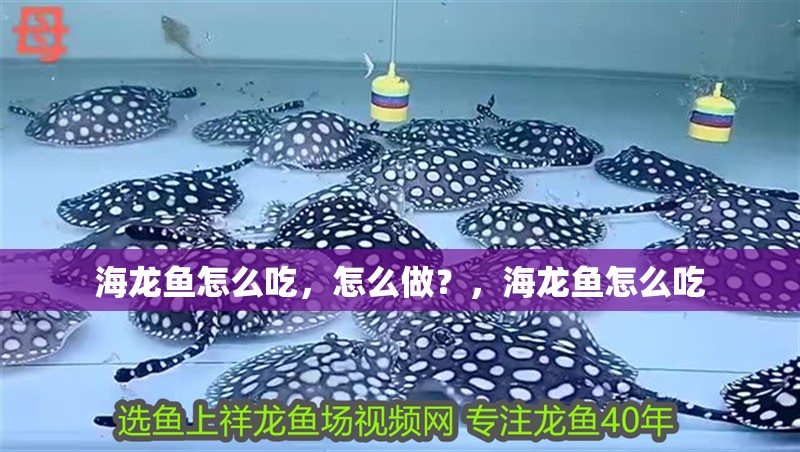 海龍魚怎么吃，怎么做？，海龍魚怎么吃