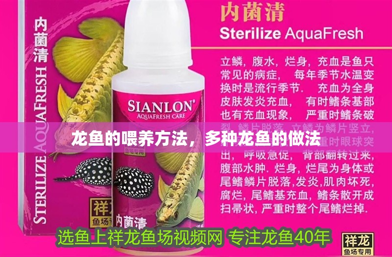 龍魚的喂養方法，多種龍魚的做法
