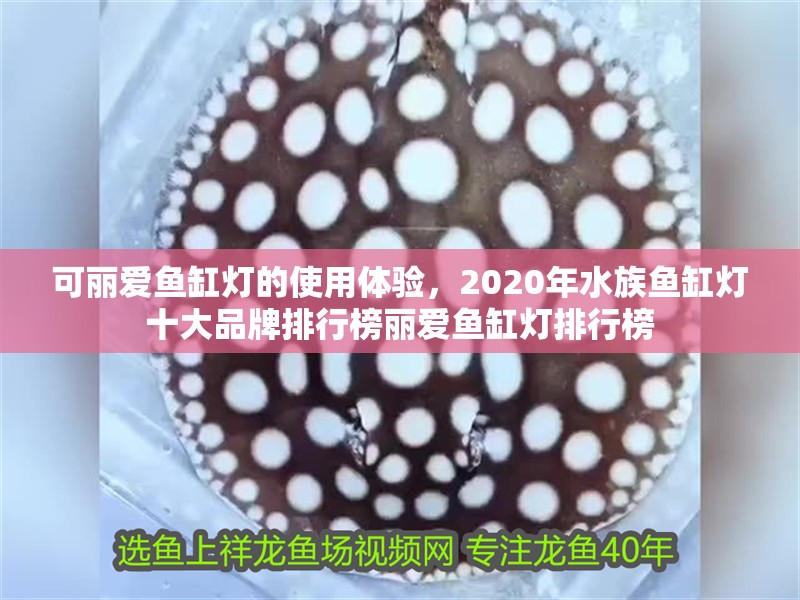 可麗愛魚缸燈的使用體驗(yàn)，2020年水族魚缸燈十大品牌排行榜麗愛魚缸燈排行榜