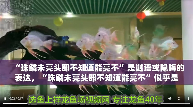 “珠鱗未亮頭部不知道能亮不”是謎語或隱晦的表達，“珠鱗未亮頭部不知道能亮不”似乎是一個謎語或隱晦的表達 “珠鱗未亮頭部不知道能亮不”是謎語或隱晦的表達，“珠鱗未亮頭部不知道能亮不”似乎是一個謎語或隱晦的表達 觀賞魚百科 第3張