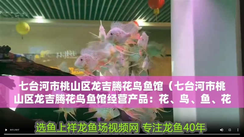 七臺河市<strong><mark>桃山</mark></strong>區龍吉騰花鳥魚館（七臺河市<strong><mark>桃山</mark></strong>區龍吉騰花鳥魚館經營產品：花、鳥、魚、花土、魚具用品、水族箱零售）