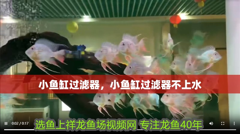 小魚缸過濾器，小魚缸過濾器不上水