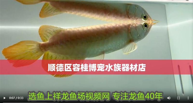 順德區容桂博寵水族器材店