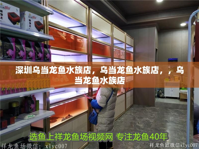 深圳烏當龍魚水族店，烏當龍魚水族店，，烏當龍魚水族店