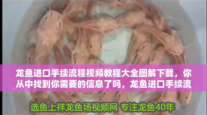 龍魚進口手續流程視頻教程大全圖解下載，你從中找到你需要的信息了嗎，龍魚進口手續流程視頻教程大全圖解