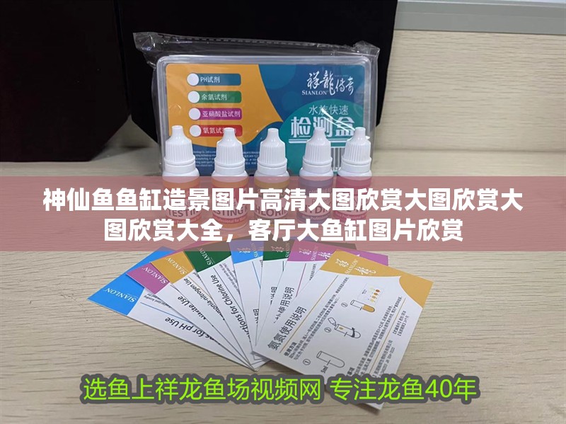 神仙魚魚缸造景圖片高清大圖欣賞大圖欣賞大圖欣賞大全，客廳大魚缸圖片欣賞