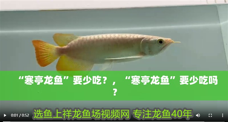 “寒亭龍魚”要少吃？，“寒亭龍魚”要少吃嗎？