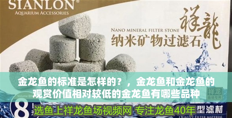 金龍魚的標(biāo)準(zhǔn)是怎樣的？，金龍魚和金龍魚的觀賞價值相對較低的金龍魚有哪些品種