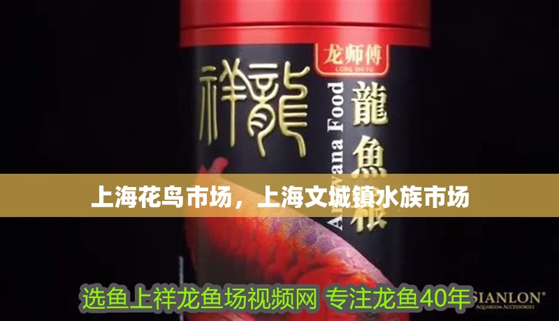 上海花鳥市場，上海文城鎮水族市場