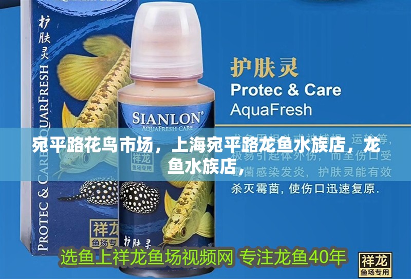 宛平路花鳥市場，<strong><mark>上海</mark></strong>宛平路龍魚水族店，龍魚水族店，