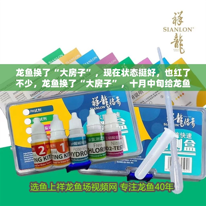 龍魚換了“大房子”，現(xiàn)在狀態(tài)挺好，也紅了不少，龍魚換了“大房子”，十月中旬給龍魚換的“大房子”，狀態(tài)挺好
