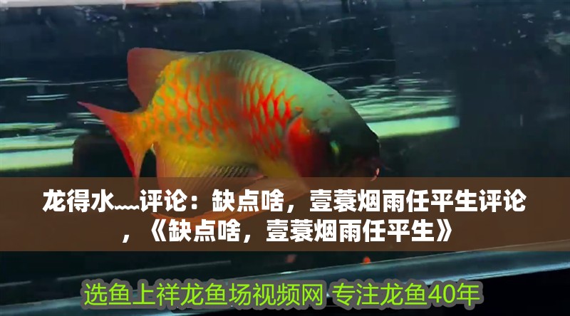 龍得水﹏評論：缺點啥，壹蓑煙雨任平生評論，《缺點啥，壹蓑煙雨任平生》