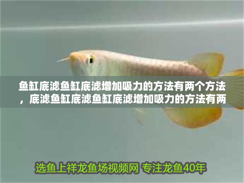 魚缸底濾魚缸底濾增加吸力的方法有兩個方法，底濾魚缸底濾魚缸底濾增加吸力的方法有兩個方法有兩個