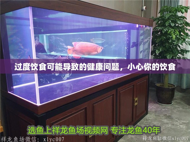 過度飲食可能導致的健康問題，小心你的飲食