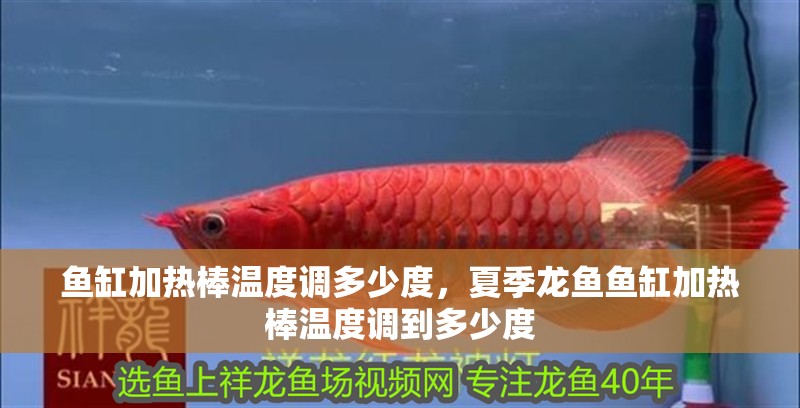 魚缸加熱棒溫度調(diào)多少度，夏季龍魚魚缸加熱棒溫度調(diào)到多少度